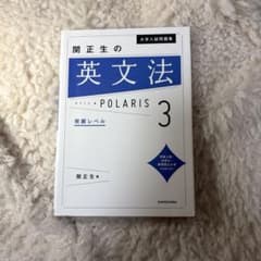 【値下げ交渉可】大学入試問題集 関正生の英文法ポラリス[3 発展レベル]のサムネイル