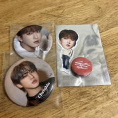 straykids チャンビン まとめ売りのサムネイル