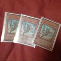 遊戯王 フォッシル・ダイナ パキケファロのサムネイル