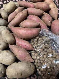 無農薬＊ 野菜3種のサムネイル