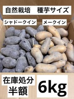 自然栽培　じゃがいも　2種　6kgのサムネイル