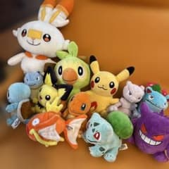 全てポケモンセンター購入　ポケモンフィット　12体おまとめセット 全てポケモンセンター購入 ポケモンフィット 12体おまとめセット