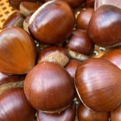 無農薬・上州産ぽろたん栗⑦１．２ｋｇ以上のサムネイル