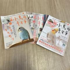 小鳥のキモチ Vol.４,5,7 セットのサムネイル