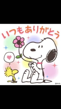 ゆうなちゃん様専用のサムネイル