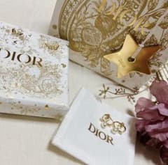 【正規品】DIOR ピアス　ディオールのサムネイル