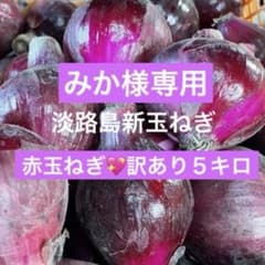 みか様★淡路島新玉ねぎ★赤玉ねぎ★5キロ★ 訳あり★甘い★フレッシュ★ルビーの輝のサムネイル