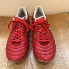 asics DS LIGHT X-FLY 5 25.0センチのサムネイル
