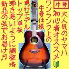 牛骨☆現行モデル】ヤマハ☆FG830！TBS！アコギ【弾き易く調整☆新品の