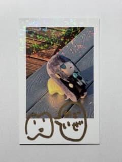 Adoチェキ風トレーディングカード シークレット - メルカリ