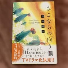 さよならの向う側 i love you 清水晴木のサムネイル