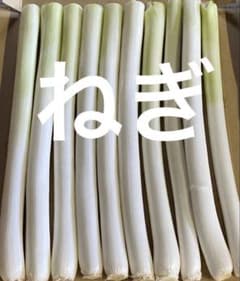 ねぎのサムネイル