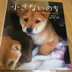 小さないのち : まほうをかけられた犬たちのサムネイル