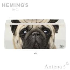 HEMING'S tente ANIMAL FACE パグのサムネイル