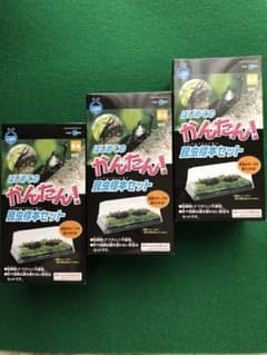 3個セット  かんたん 昆虫標本セットのサムネイル