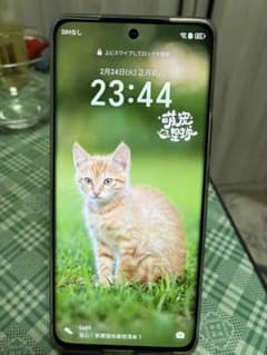Honor X50 GT 12+256GB simフリー 充電器セット付き - メルカリ