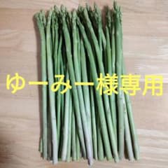 ゆーみー様専用太めアスパラ(M〜2L)500g - 2
