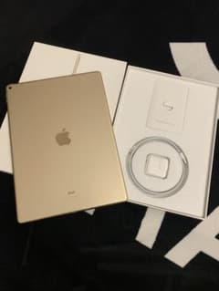 iPad Pro12.9第一世代32GB Wi-Fiモデルのサムネイル