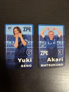 ちふれASエルフェン埼玉　カードのサムネイル