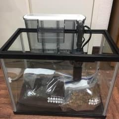 水槽セット おまけ付き 限界価格！！のサムネイル