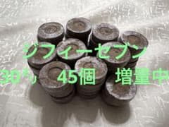 ジフィーセブン　30㍉　45個　増量中のサムネイル