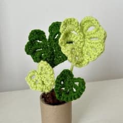 モンステラ 編みぐるみ 観葉植物 ハンドメイドのサムネイル