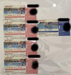 東京サマーランド　株主優待　チケットのサムネイル