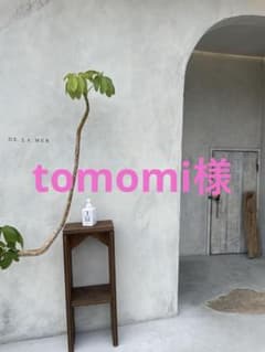 フォトアルバムのサムネイル