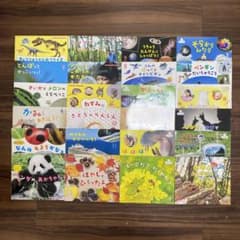 サンチャイルド•ビッグサイエンス 24冊 2019年4月〜2021年3月 - メルカリ