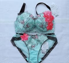 F65・M☆サルート Salute 83G ブラジャー ショーツ - メルカリ