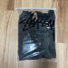ステューシー stussy フード付きジップパーカー メンズのサムネイル