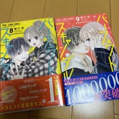 パーフェクトスキャンダル8・9のサムネイル