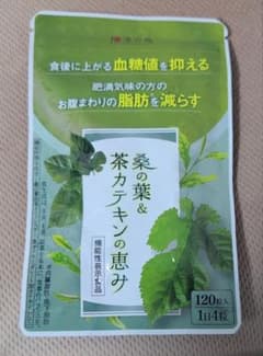 漢方セレクト 桑の葉&茶カテキンの恵み 120粒 漢方セレクト 桑の葉&茶カテキンの恵み 120粒 - メルカリ