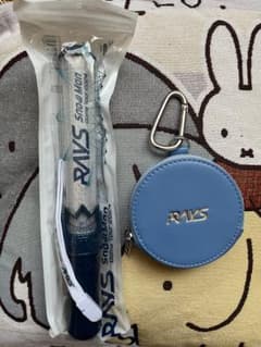 Snow Man Dome Tour 2024 RAYS ペンライト＆ポーチのサムネイル