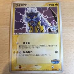 ライコウ ポケパークプレミアムファイル 005/009 プロモカード希少