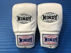 WINDY ウインディ パンチンググローブのサムネイル