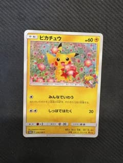 ポケモンカード ピカチュウ プロモカード 224/SM-P みんなでいわう