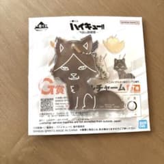 ハイキューＧ賞角名倫太郎