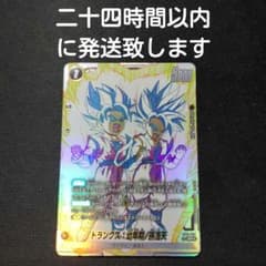 ドラゴンボール トランクス：幼年期/孫悟天 sr☆ st01-058 パラレル