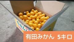 有田みかん 早生 小玉 2S3S混合 約5キロのサムネイル