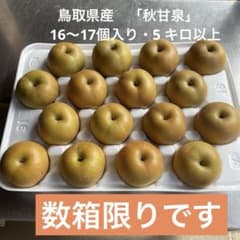 58 ．鳥取県産　秋甘泉　農家直送 　　　　 　　　　　5 キロ以上のサムネイル