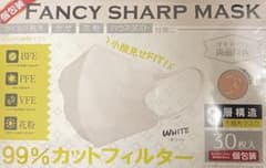 不織布マスク 立体mask Lサイズのサムネイル