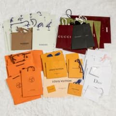 ブランド ショッパー 美品 ヴィトン エルメス グッチ ディオール