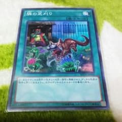 遊戯王 隣の芝刈りのサムネイル
