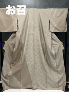 IS-1 着物 訪問着 お召 ベージュ色系 幾何学 多文様 身丈裄丈長め 美品 
