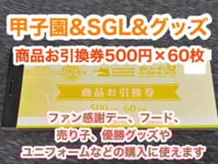 ☆甲子園球場☆商品お引換券3万円分☆グッズ☆ショップアルプス☆阪神