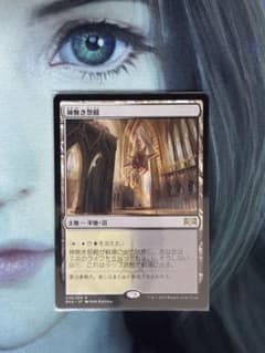 JP《神無き祭殿/Godless Shrine》[RNA] 土地R1枚 - メルカリ