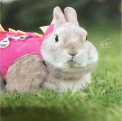 メリリ様 専用のサムネイル