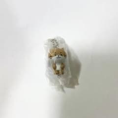 MINITEEN ディノのサムネイル