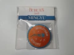 セブチ　BE THE SUN ペンライト　アクセサリー　デコリング　ワッペンのサムネイル